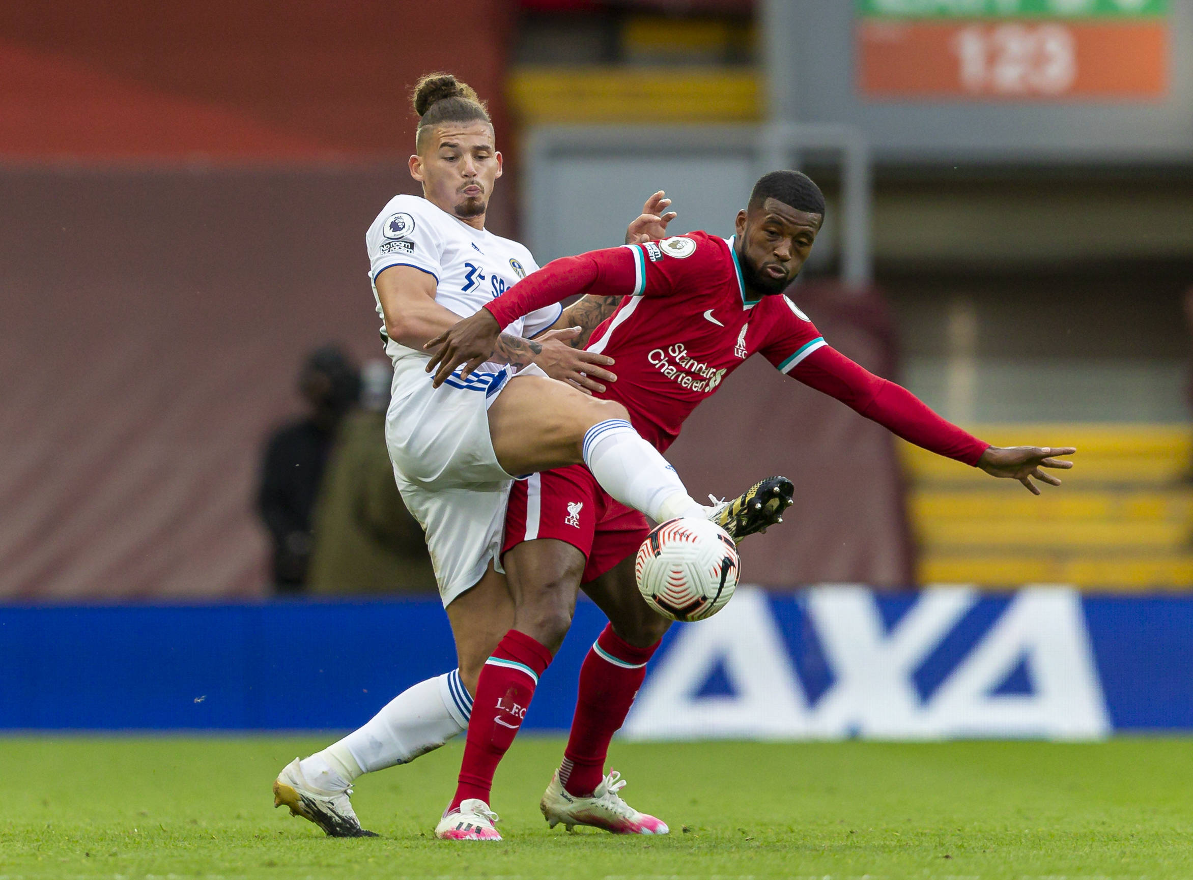 種對小崔韌 種對小崔韌